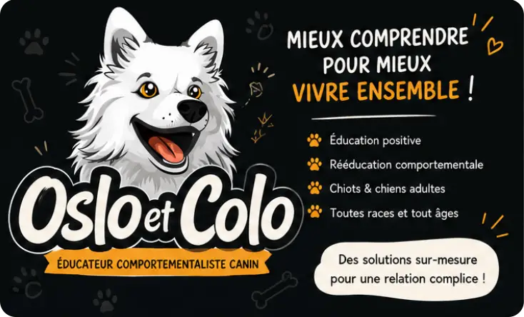 slogan